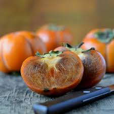 Chocolate Asian Persimmons - Taking Fall Orders Now!! - 3 Feet Tall Plus - FREE DELIVERY!