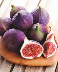 TURKEY FIG TREE - 3 Gallon - Free Shipping - Edible Fruit