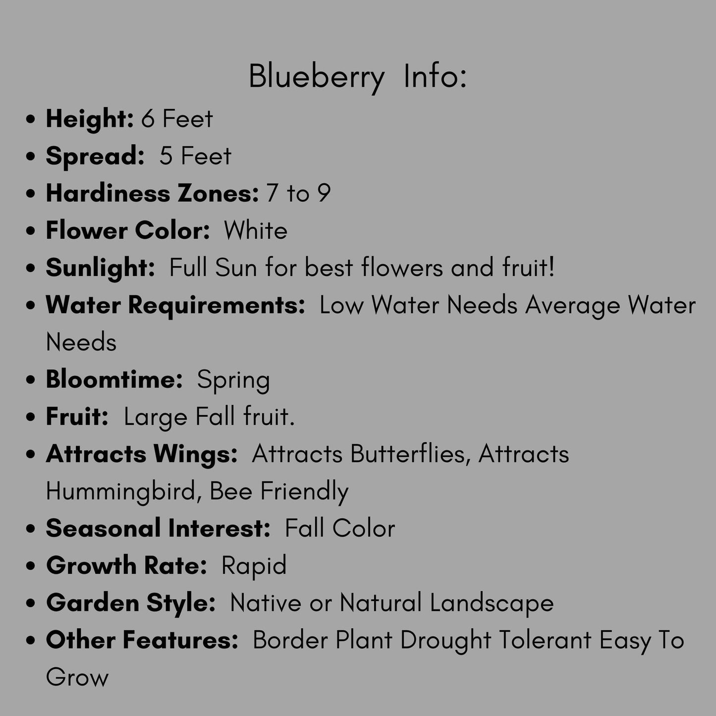 Blueberry Bushes, Edible Fruits, 4 Varieties, Nutritious Foods, 2 Feet Tall Plants, Easy to Grow and Fast Growing, Garden Gifts