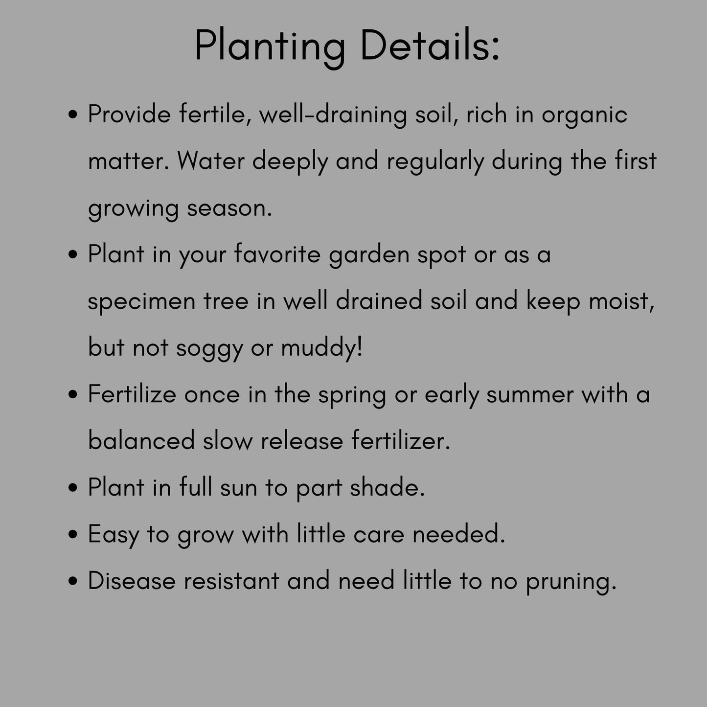 FALL WILDFLOWER PACK, 8 Different Plant Varieties, 16 Total Plants Included With Each Order, Free Shipping, Sun Loving Perennial, Pollinator