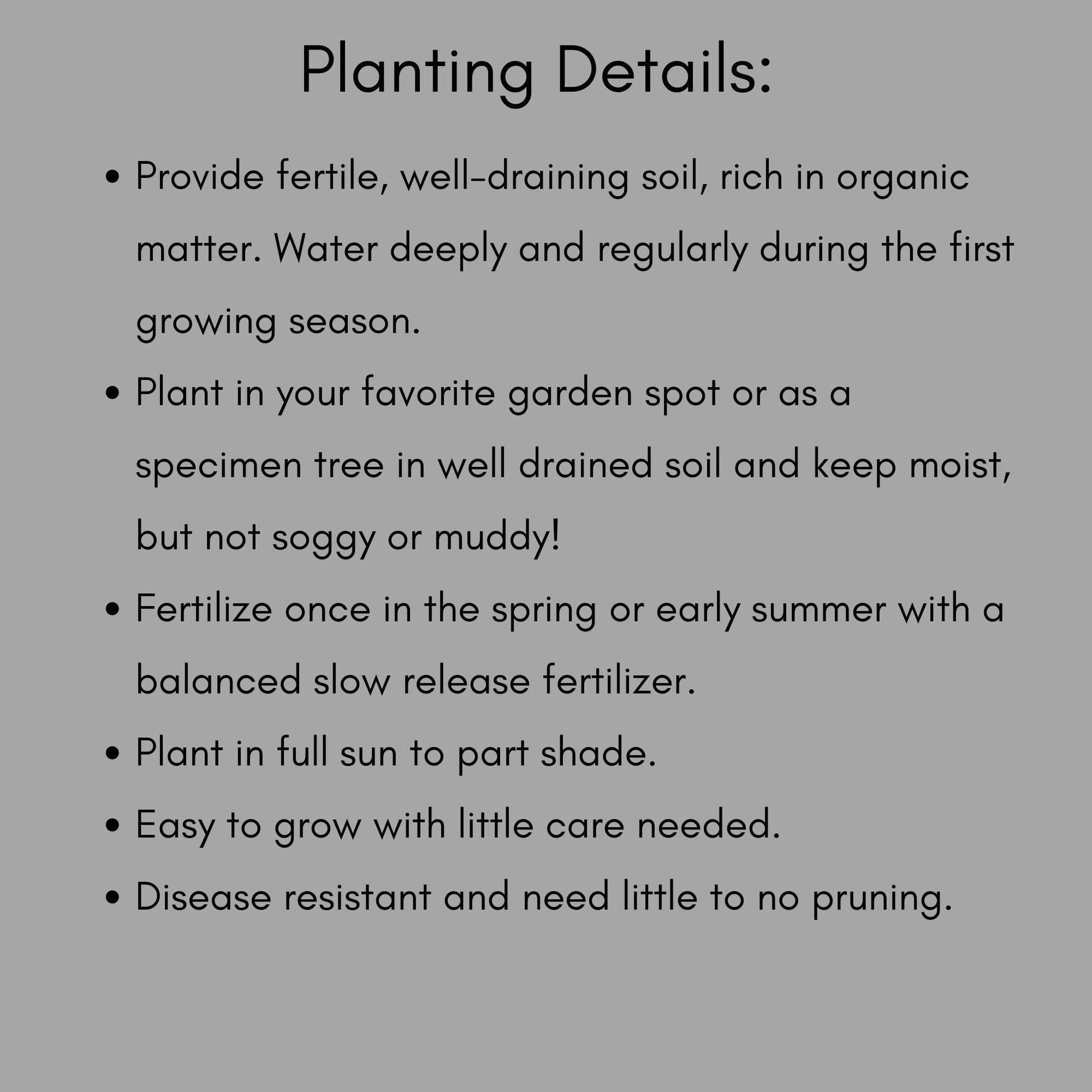 FALL WILDFLOWER PACK, 8 Different Plant Varieties, 16 Total Plants Included With Each Order, Free Shipping, Sun Loving Perennial, Pollinator